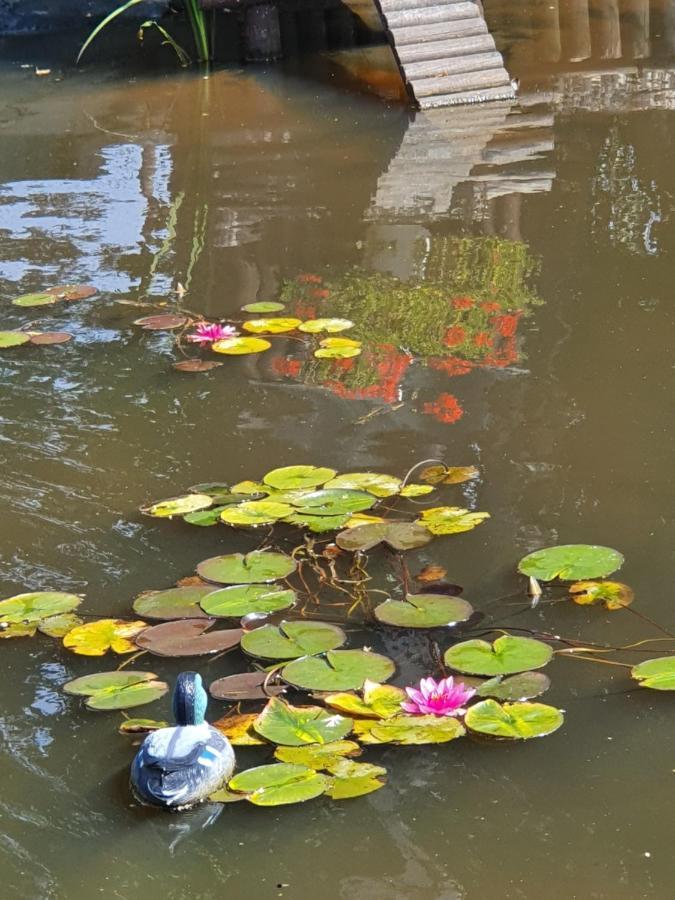 La Mare Aux Canards Sassetot-le-Mauconduit Exterior foto